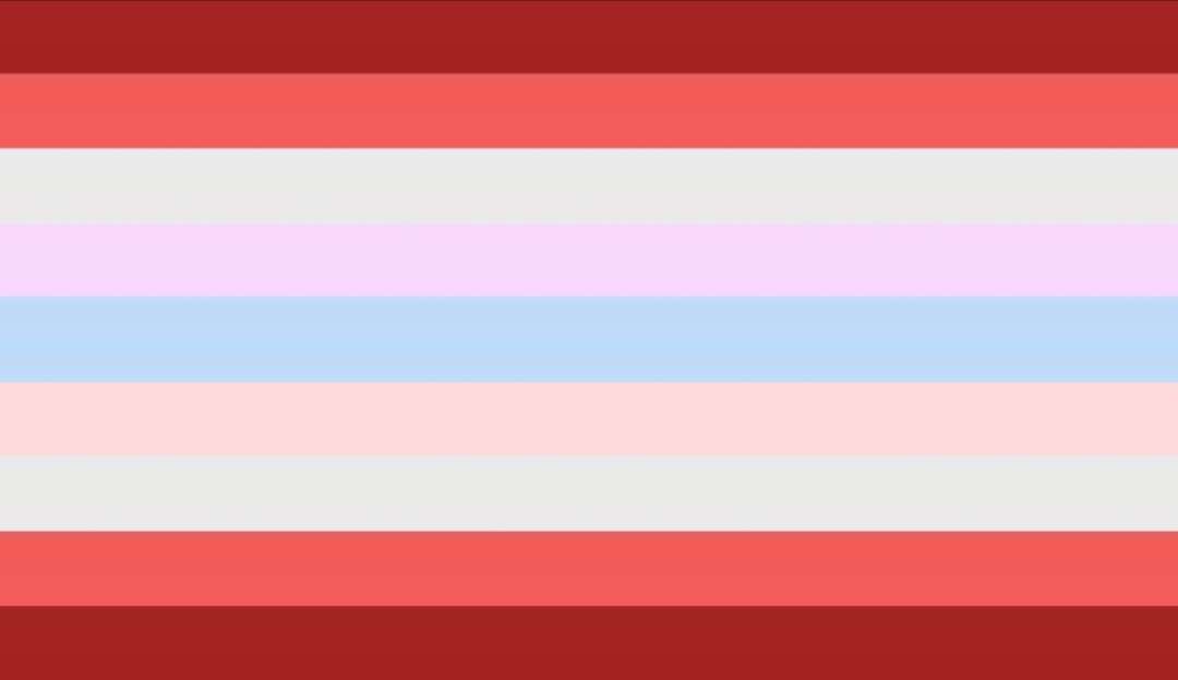 somerevigender flag