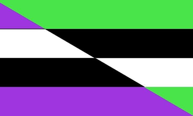 evilqueer flag