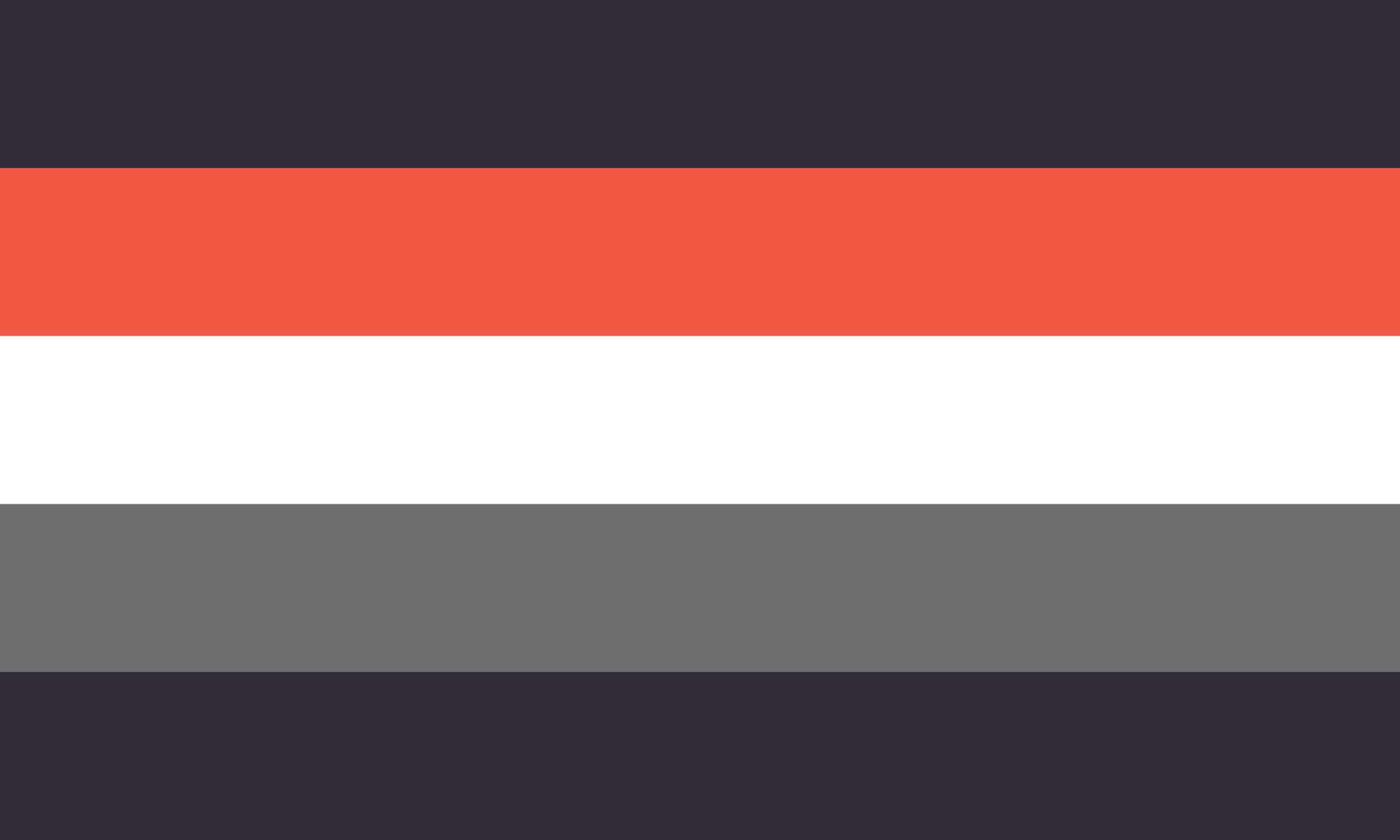 📼/📼s pronouns flag