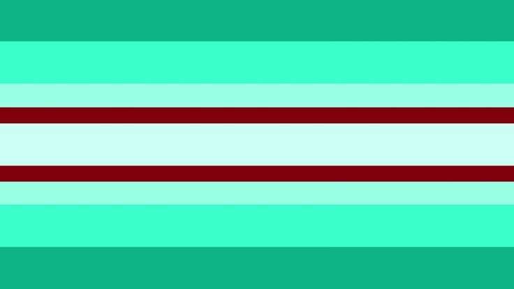 doc/docs pronouns flag