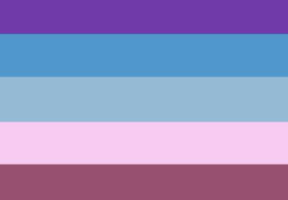 he/she pronouns flag