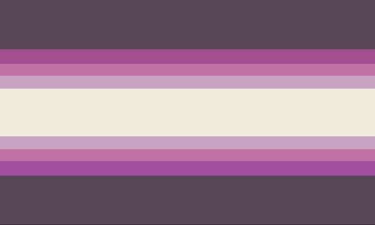 it/she pronouns flag