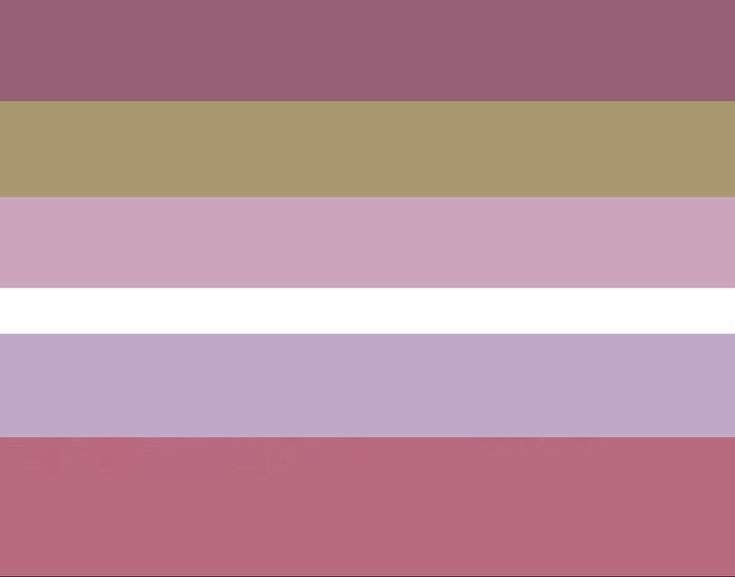 she/they/fae/he flag