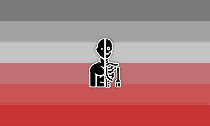 anatomygender flag