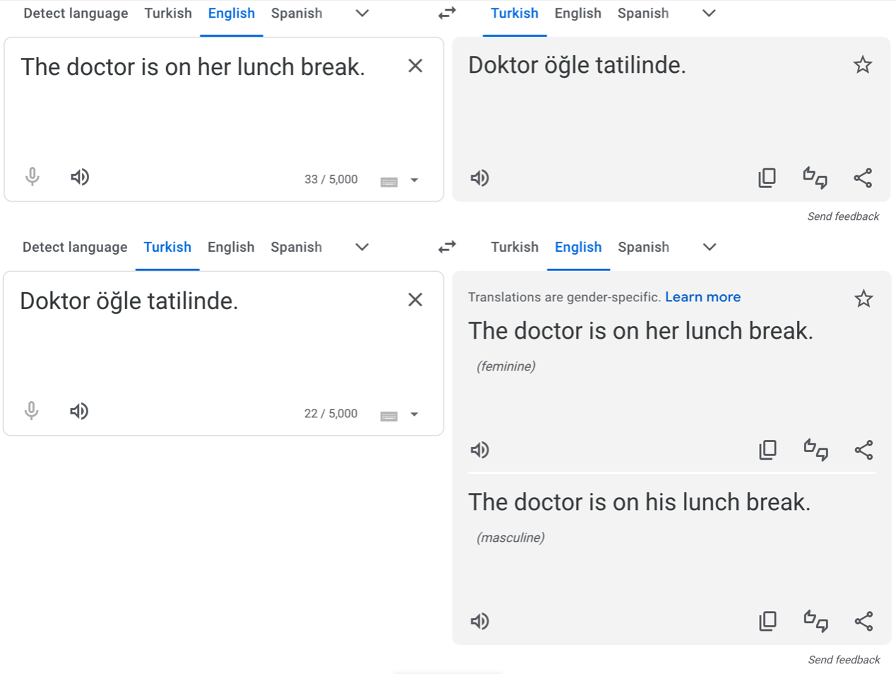 Screenshot of Google Translate output. The English sentence "The doctor is on her lunch break" is translated to Turkish, and then the Turkish output is translated back to English as either "The doctor is on his lunch break" or "The doctor is on his lunch break".