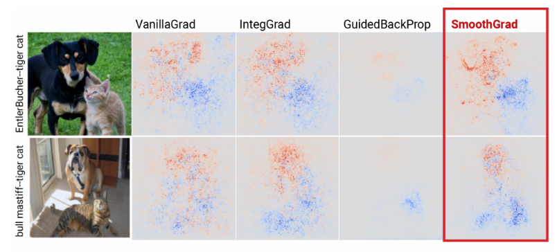 Two rows images (5 images per row). Leftmost column shows two different pictures, each containing a cat and a dog. Remaining columns show the saliency maps using different techniques (VanillaGrad, InteGrad, GuidedBackProp, and SmoothGrad). Each saliency map has red dots (indicated regions that are influential for predicting "dog") and blue dots (influential for predicting "cat"). All methods except GuidedBackProp have good overlap between the respective dots and where the animals appear in the image. SmoothGrad has the most precise mapping.