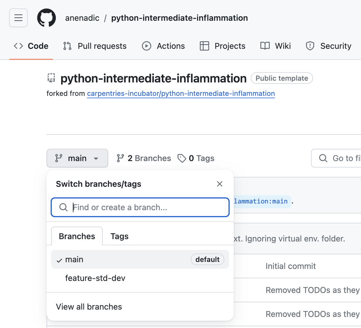 Code tab of GitHub web interface showing main branch of software project. Branch selector dropdown is shown with main (default) branch showing as currently selected and one other branch feature-std-dev showing as present.