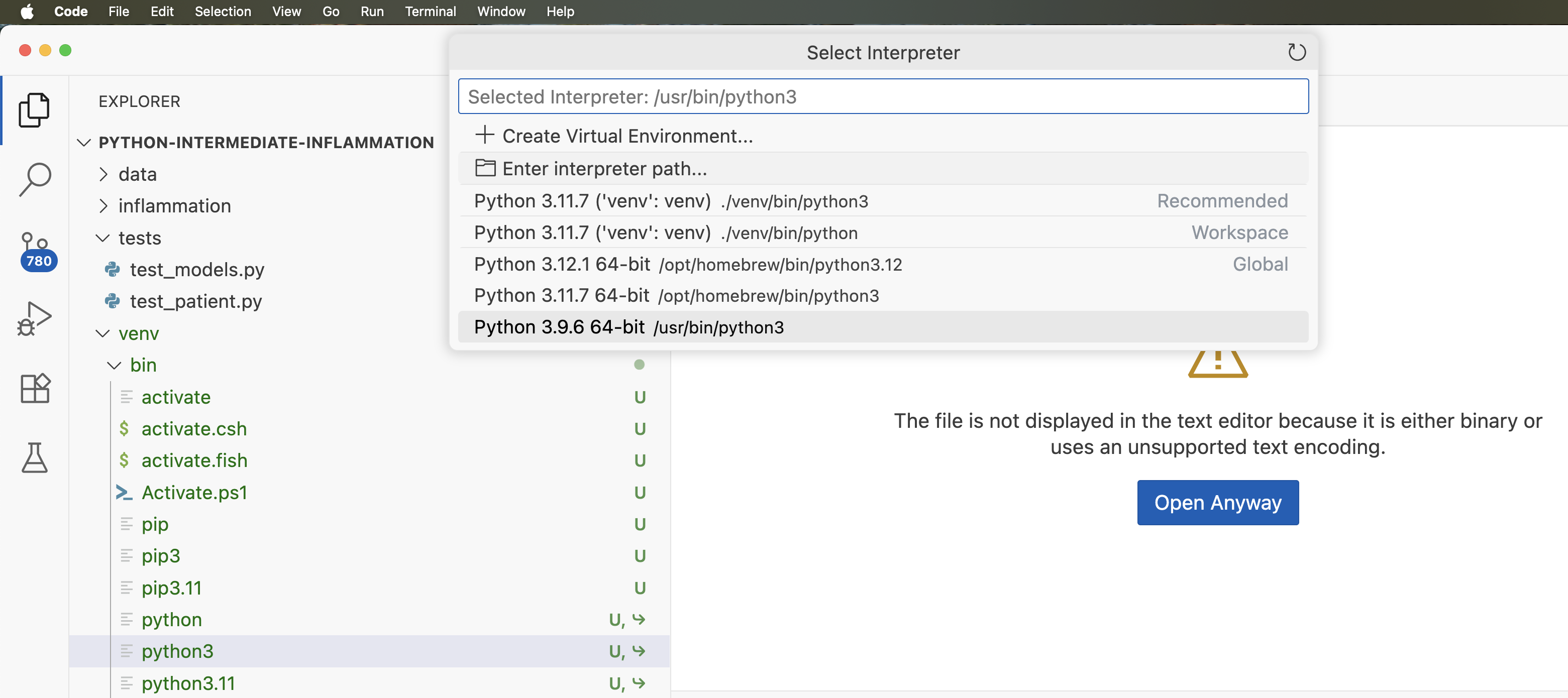 Set interpreter path in VS Code