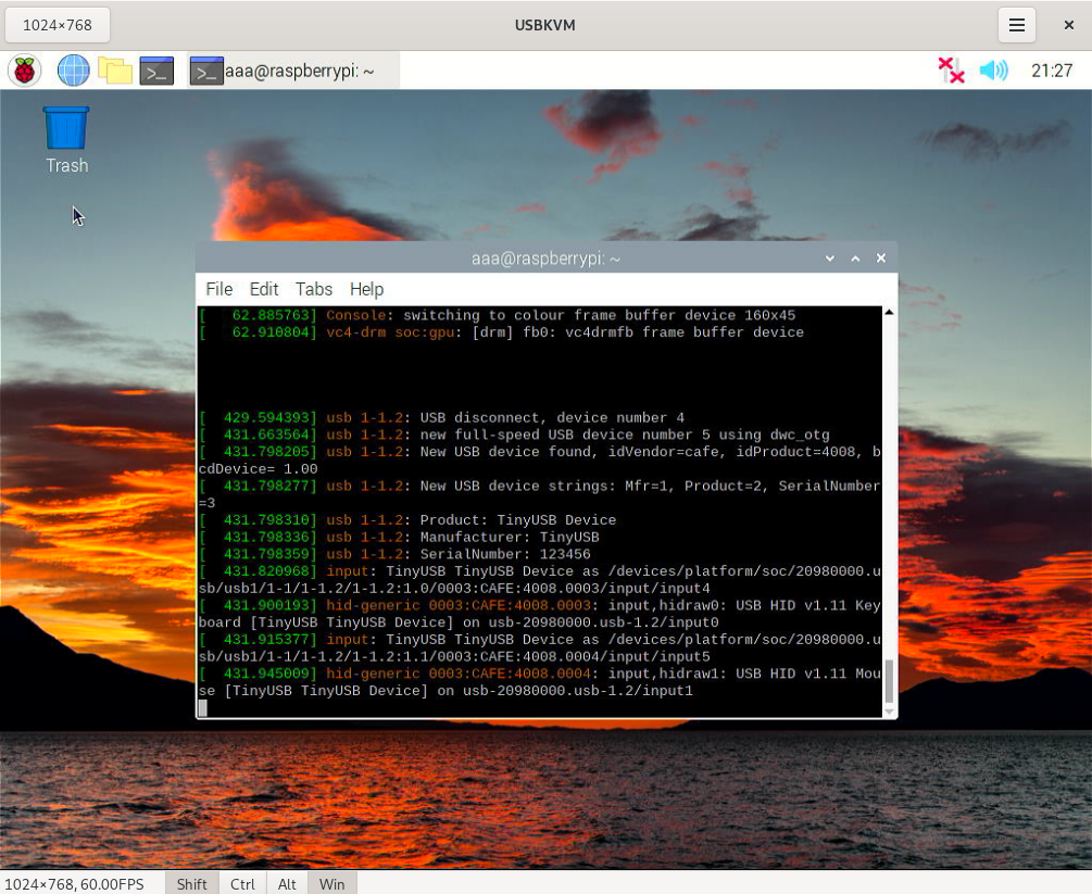 The default Raspberry Pi OS desktop with a terminal window showing some dmesg output.