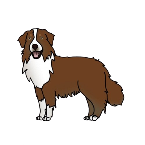 My Dog