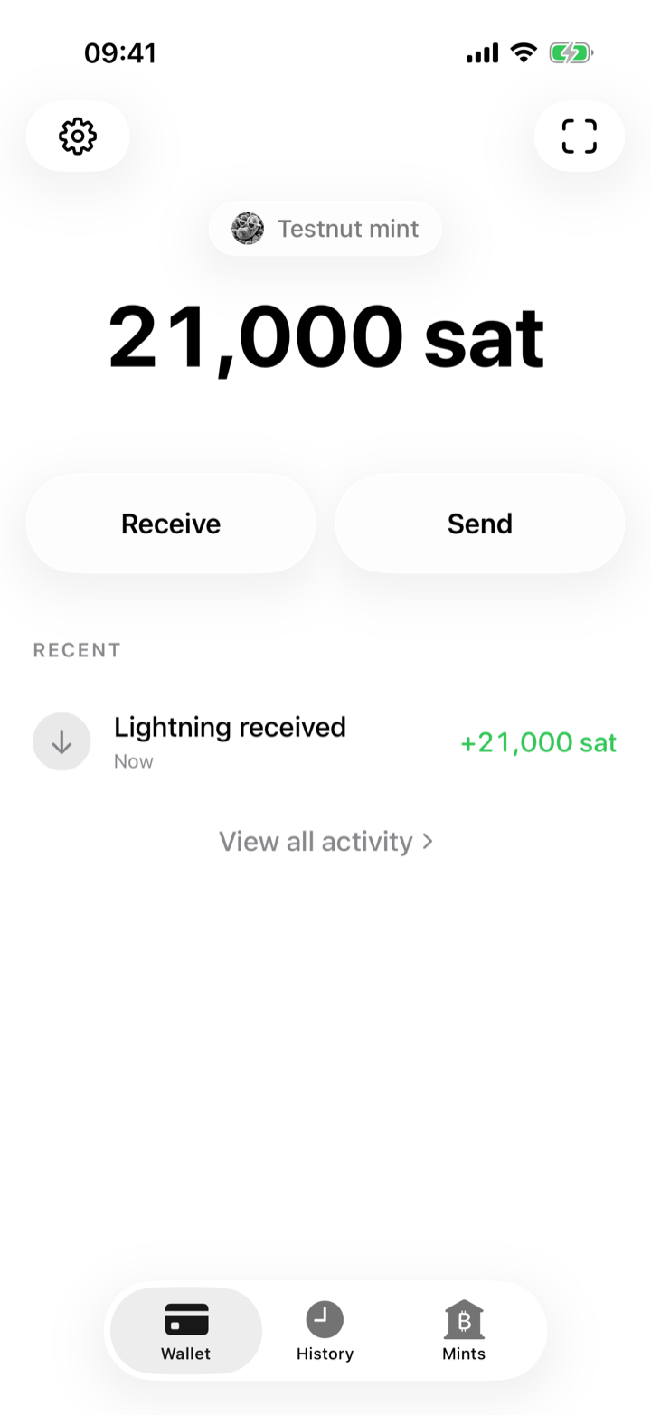 iOS wallet