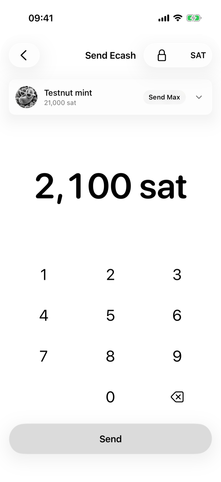 iOS send amount