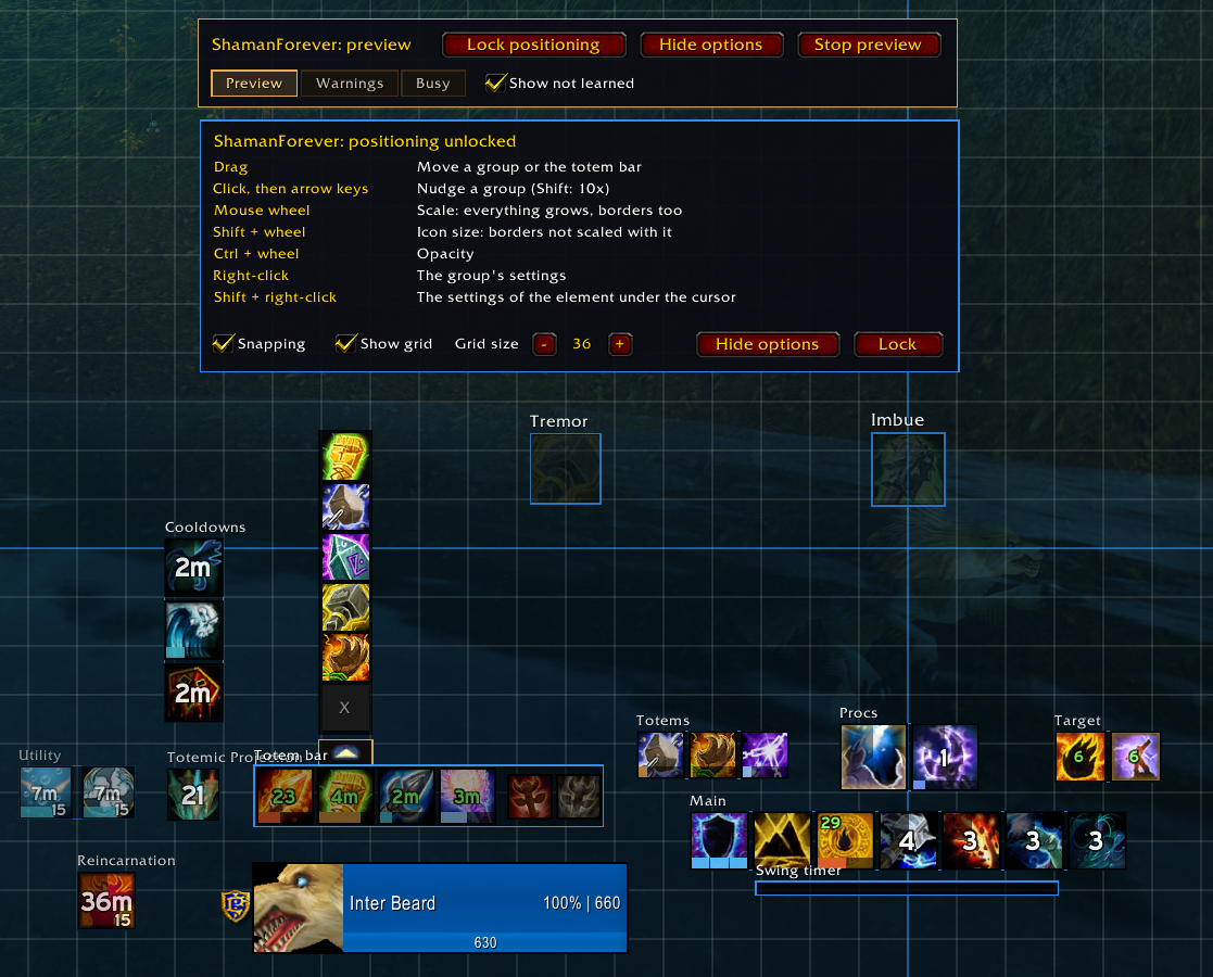 ShamanForever's HUD in preview mode with positioning unlocked