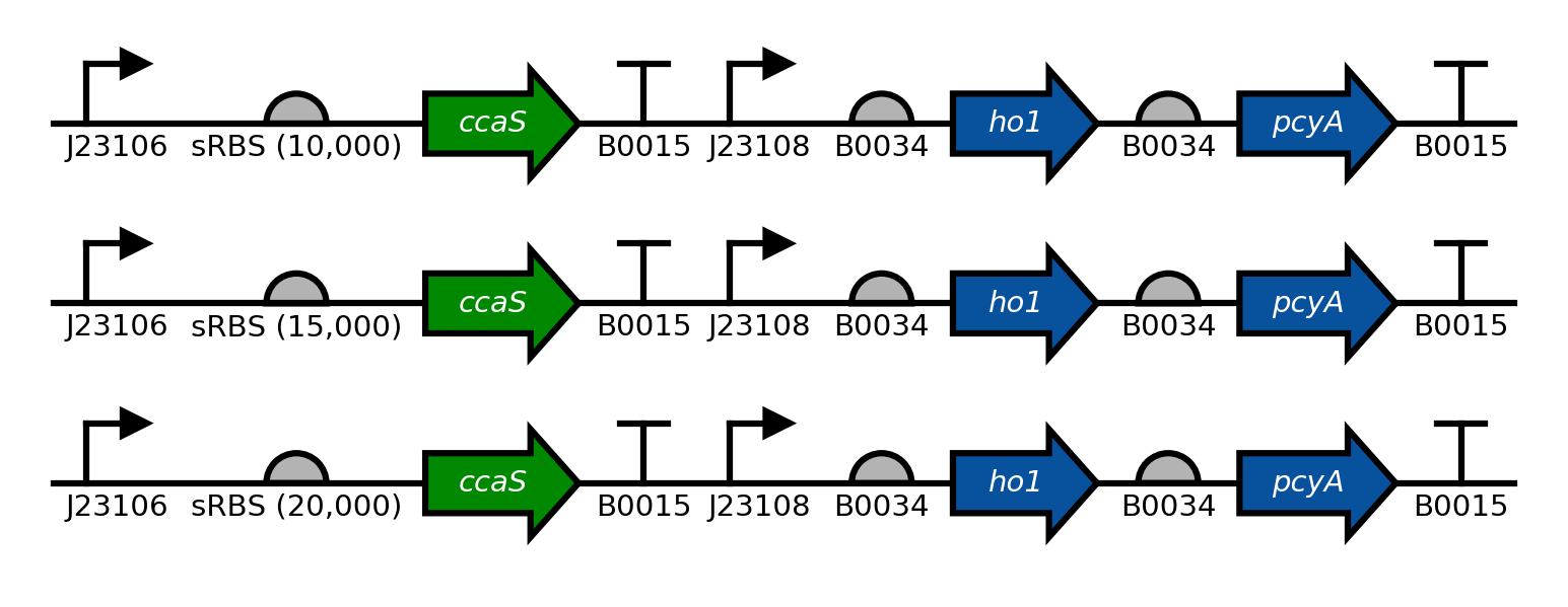 examples/example_many_seqs.png