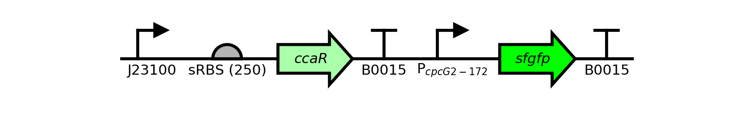 examples/example_one_seq.png