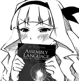ASM image 10