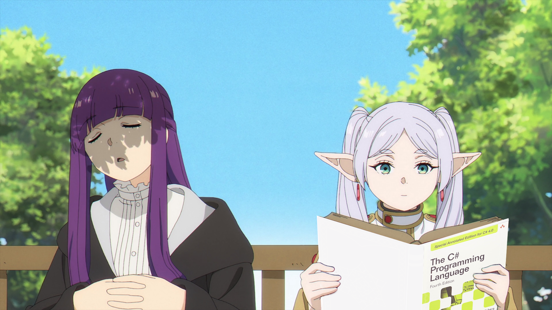 C# image 3