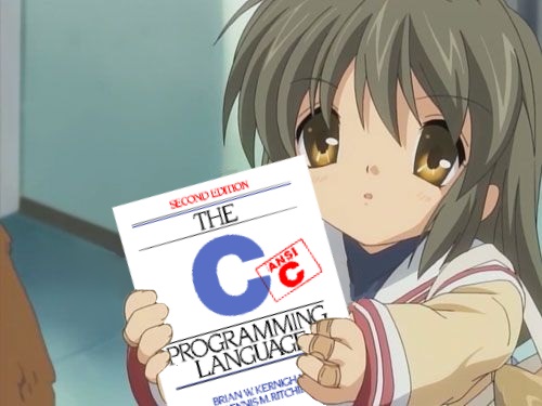C image 14