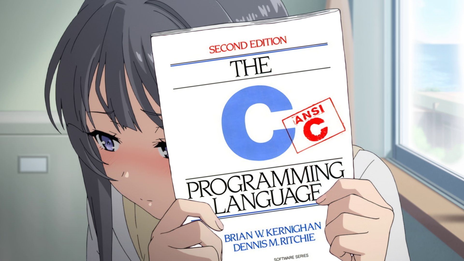 C image 52