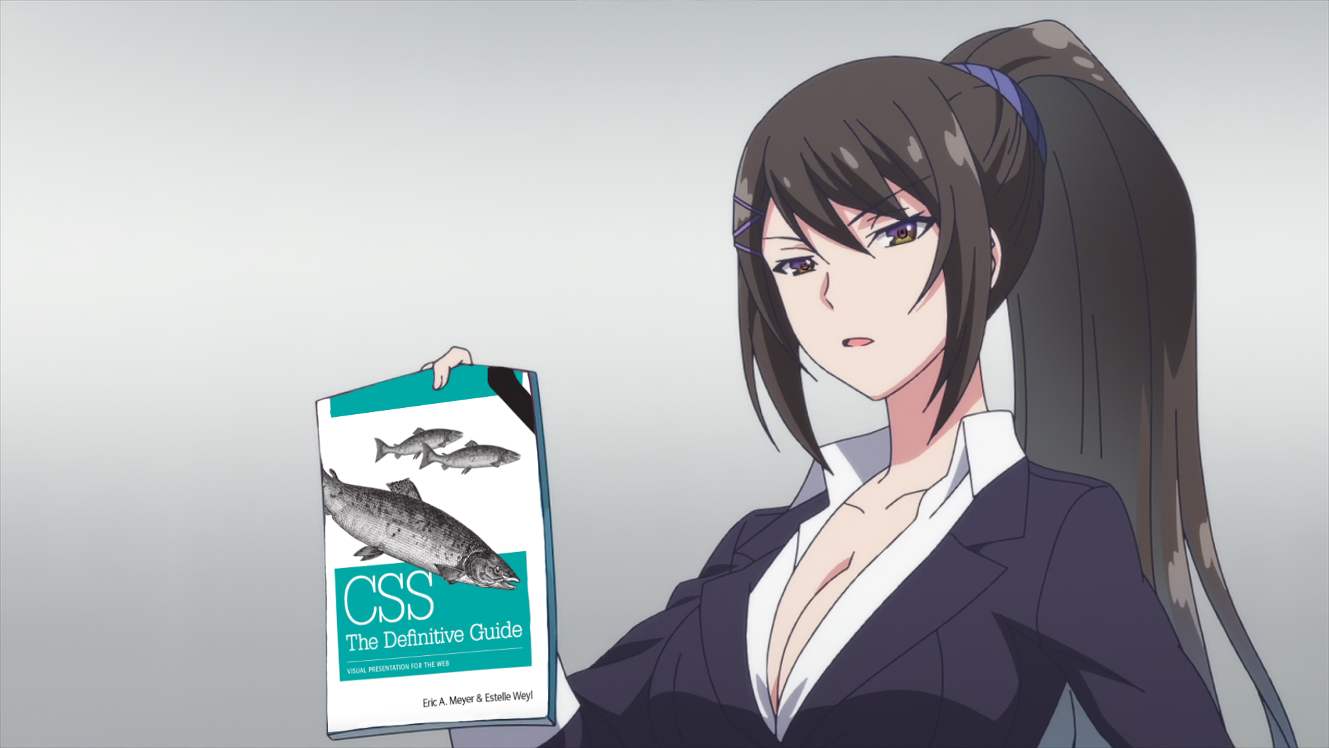 CSS image 1