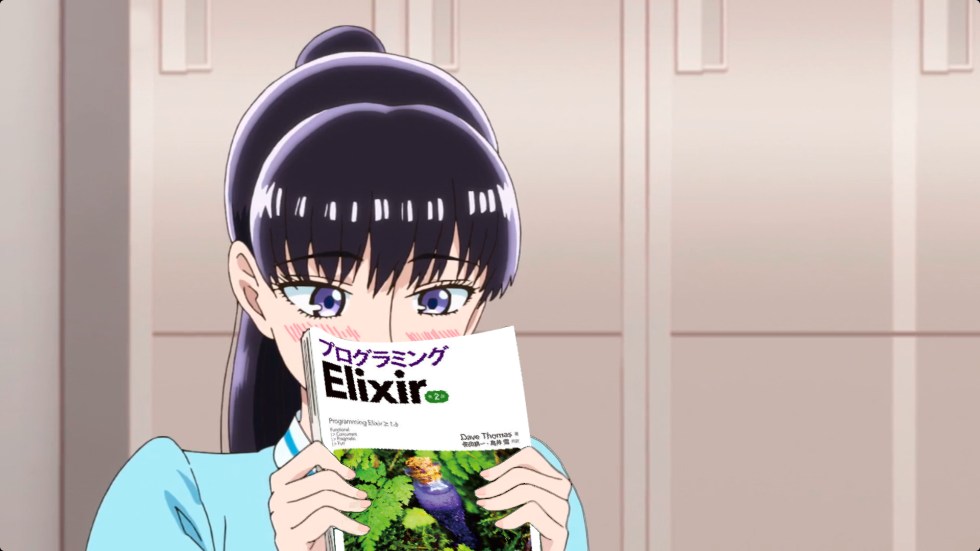 Elixir image 1