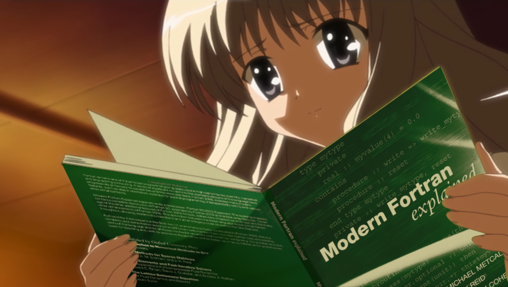 Fortran image 2