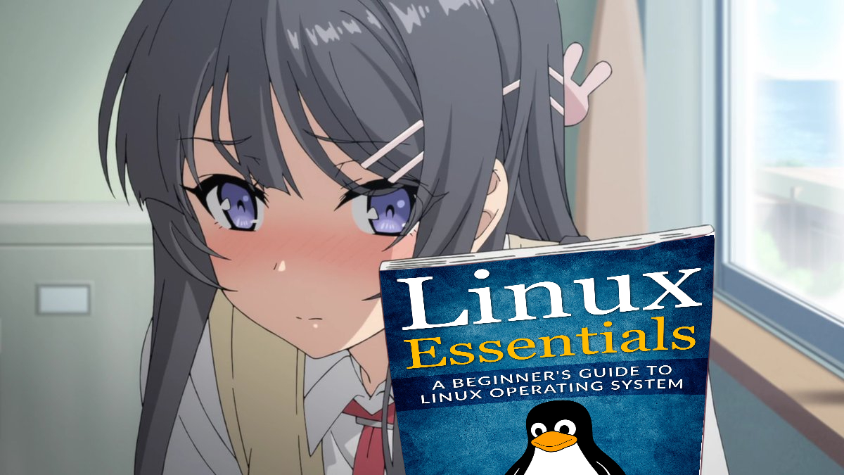 Linux image 12