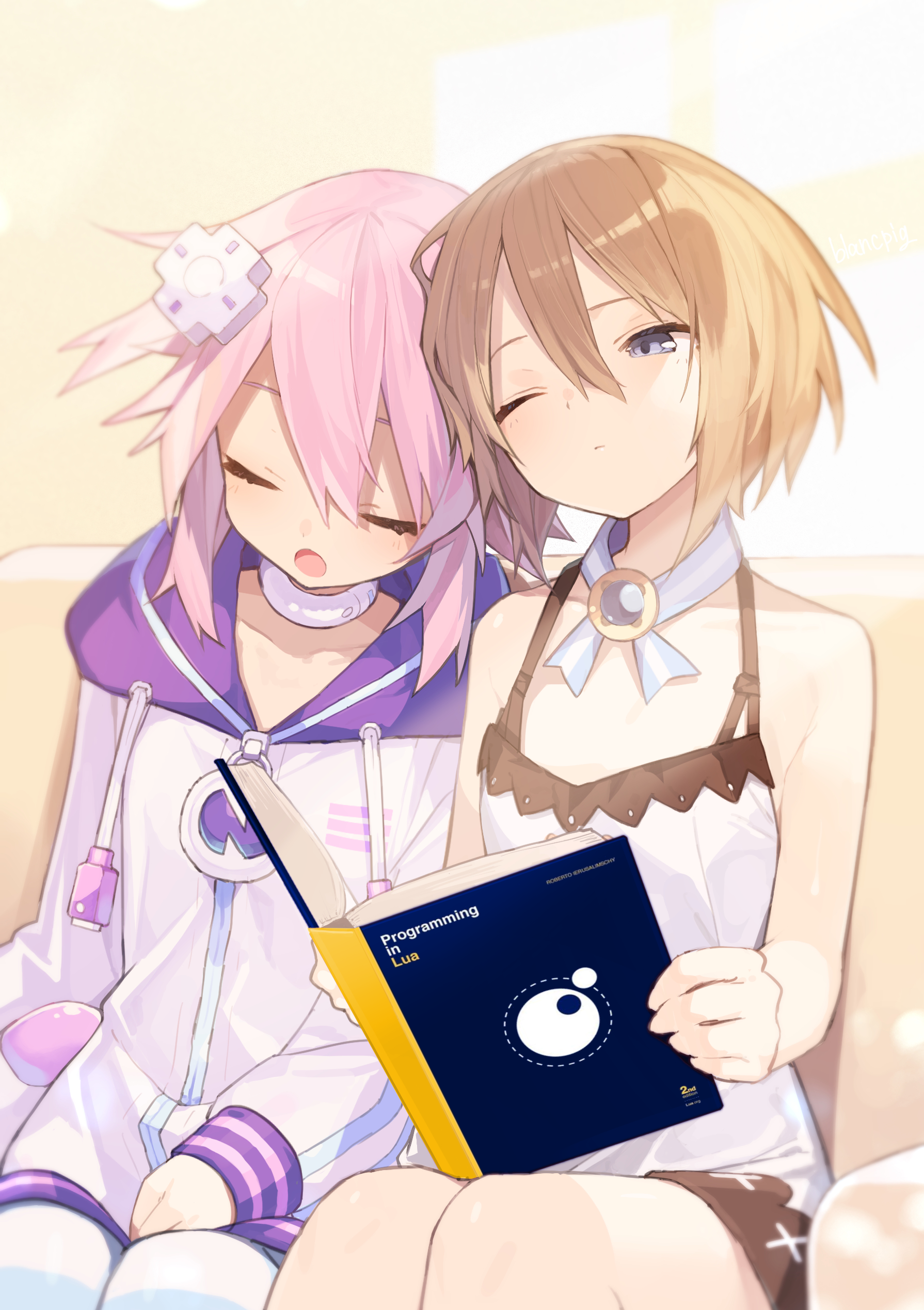 Lua image 4