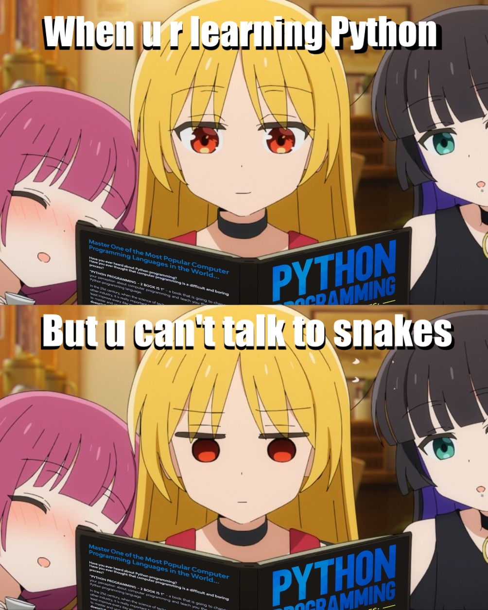 Memes image 11