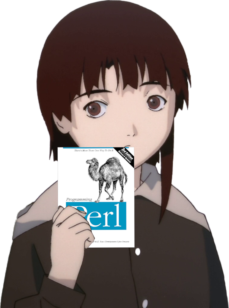 Perl image 2