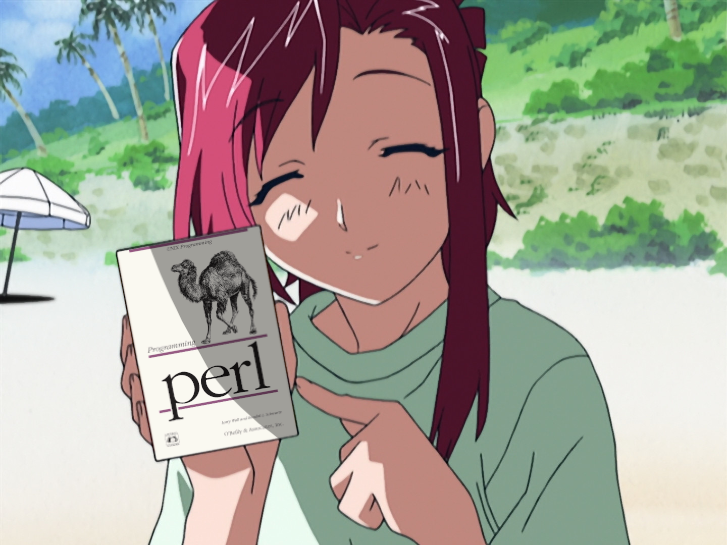 Perl image 6