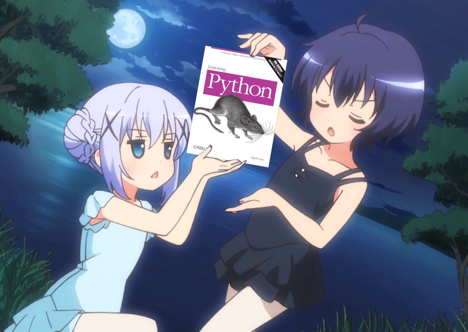 Python image 6