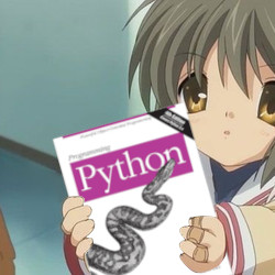 Python image 16