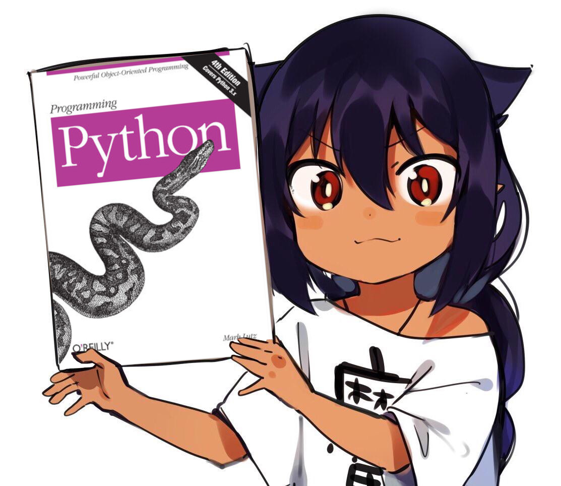 Python image 22