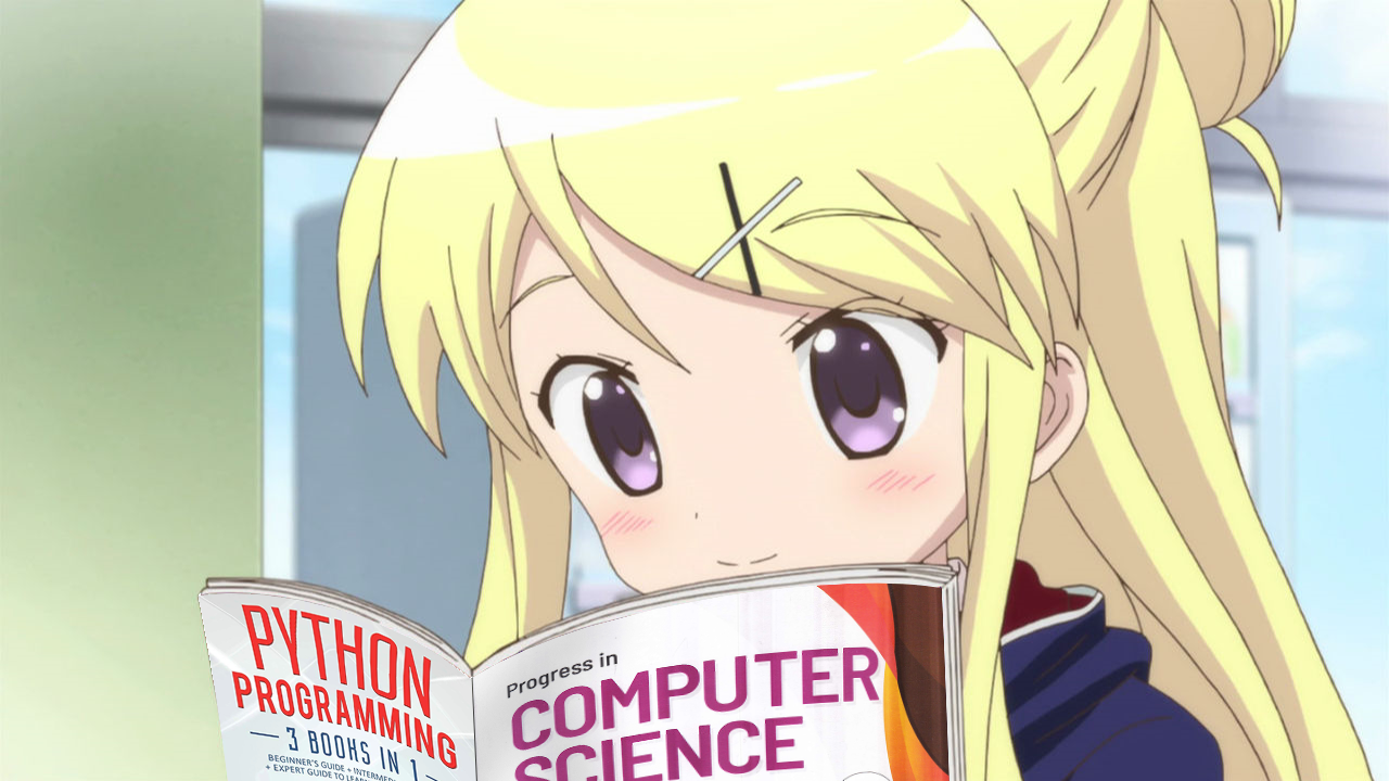 Python image 23