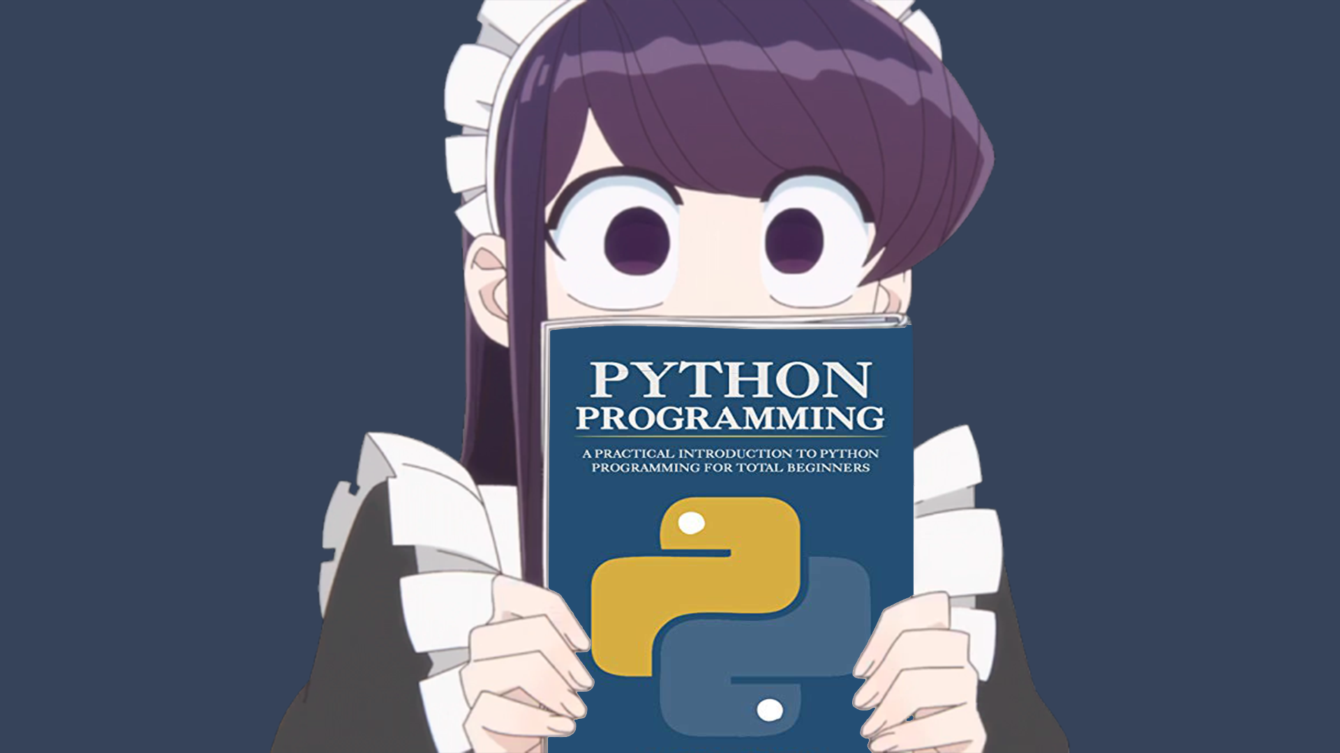 Komi-san in a maid outfit holding a Python programming book