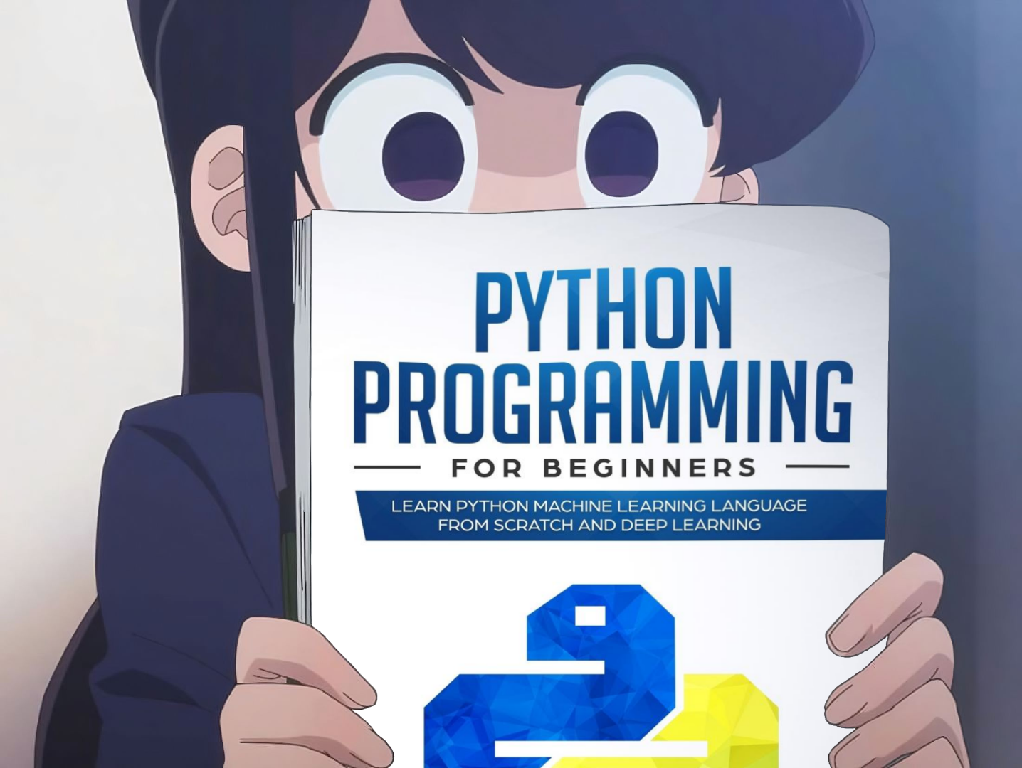 Python image 27