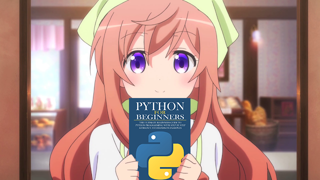 Python image 34