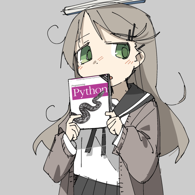 Python image 39