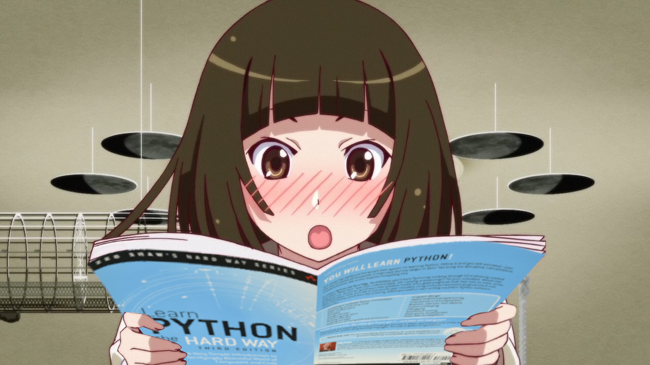 Python image 45