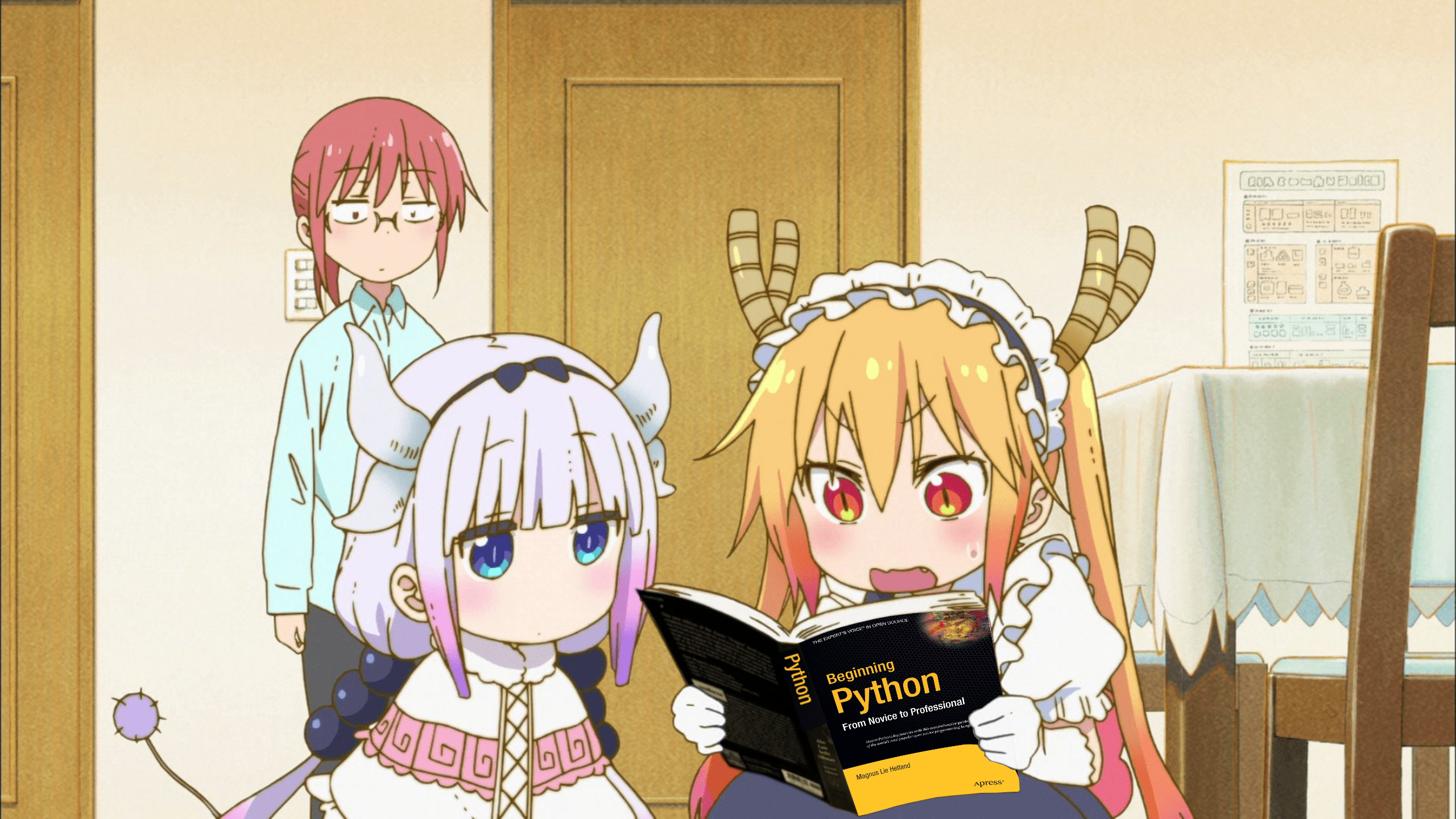 Python image 47