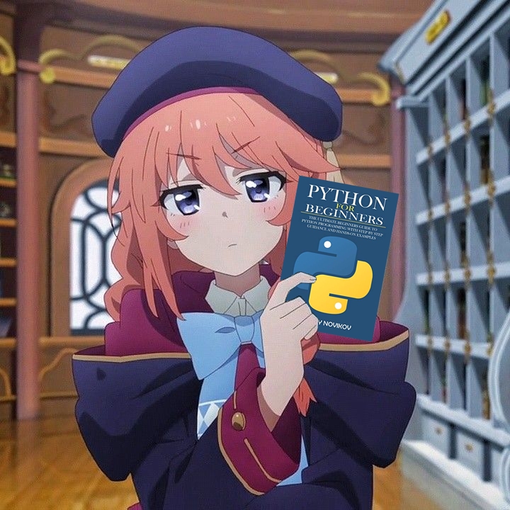 Python image 51
