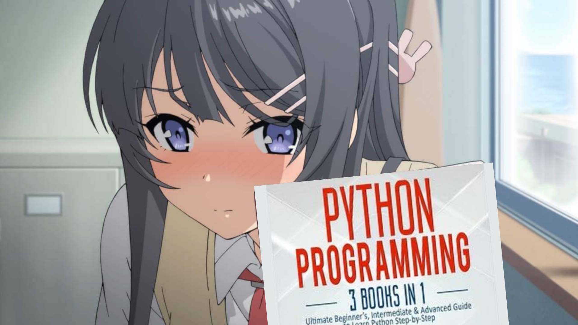 Python image 53
