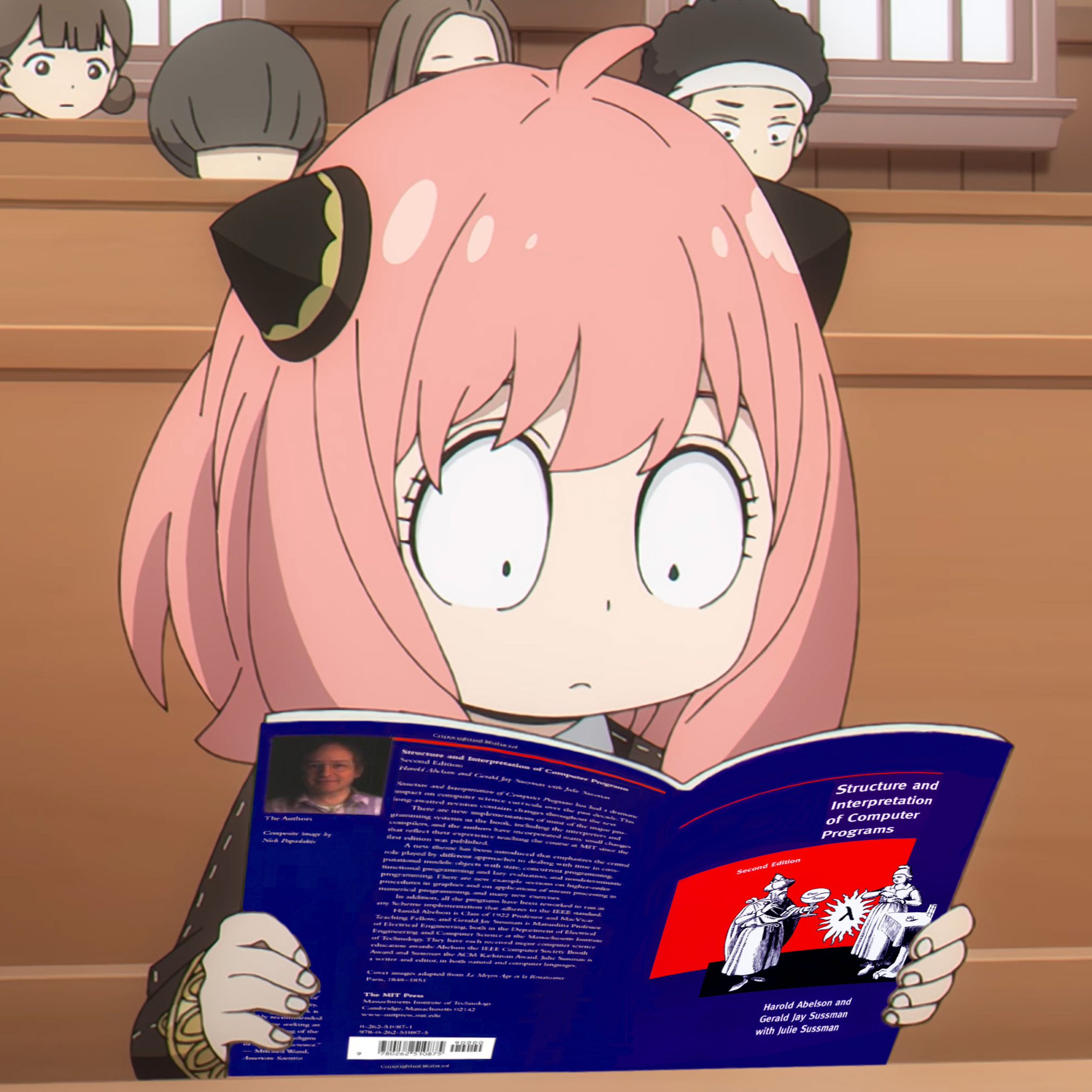 SICP image 2