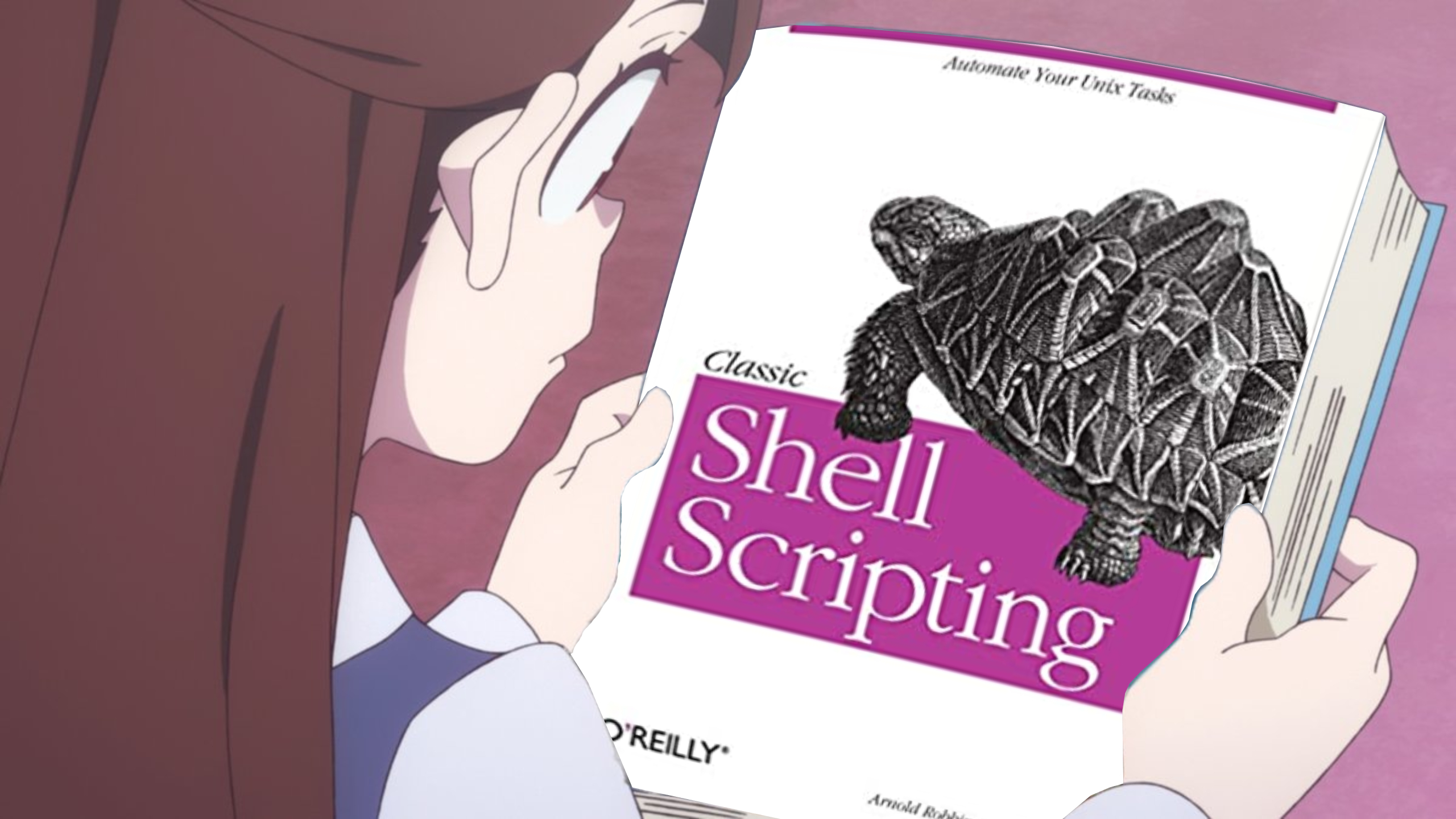 Shell image 1