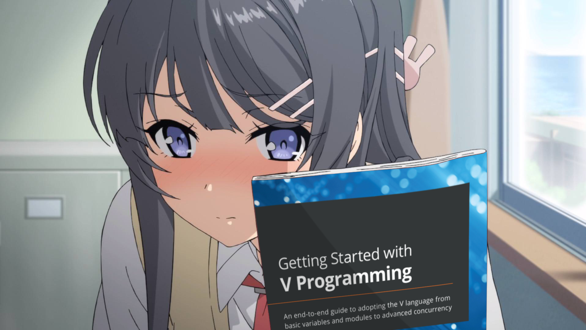 V image 1