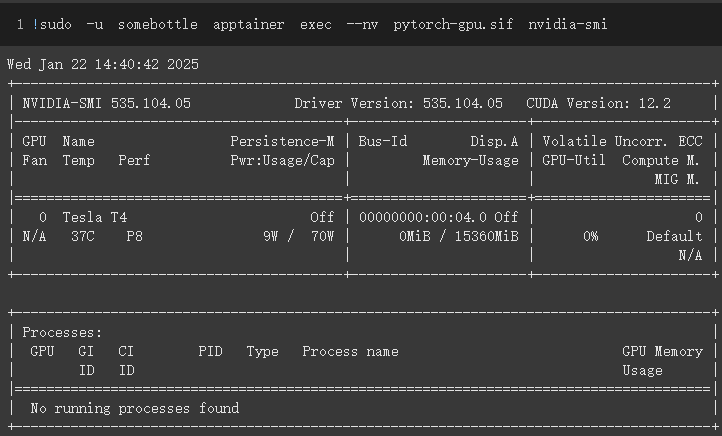 nvidia-smi_success-2025-01-22