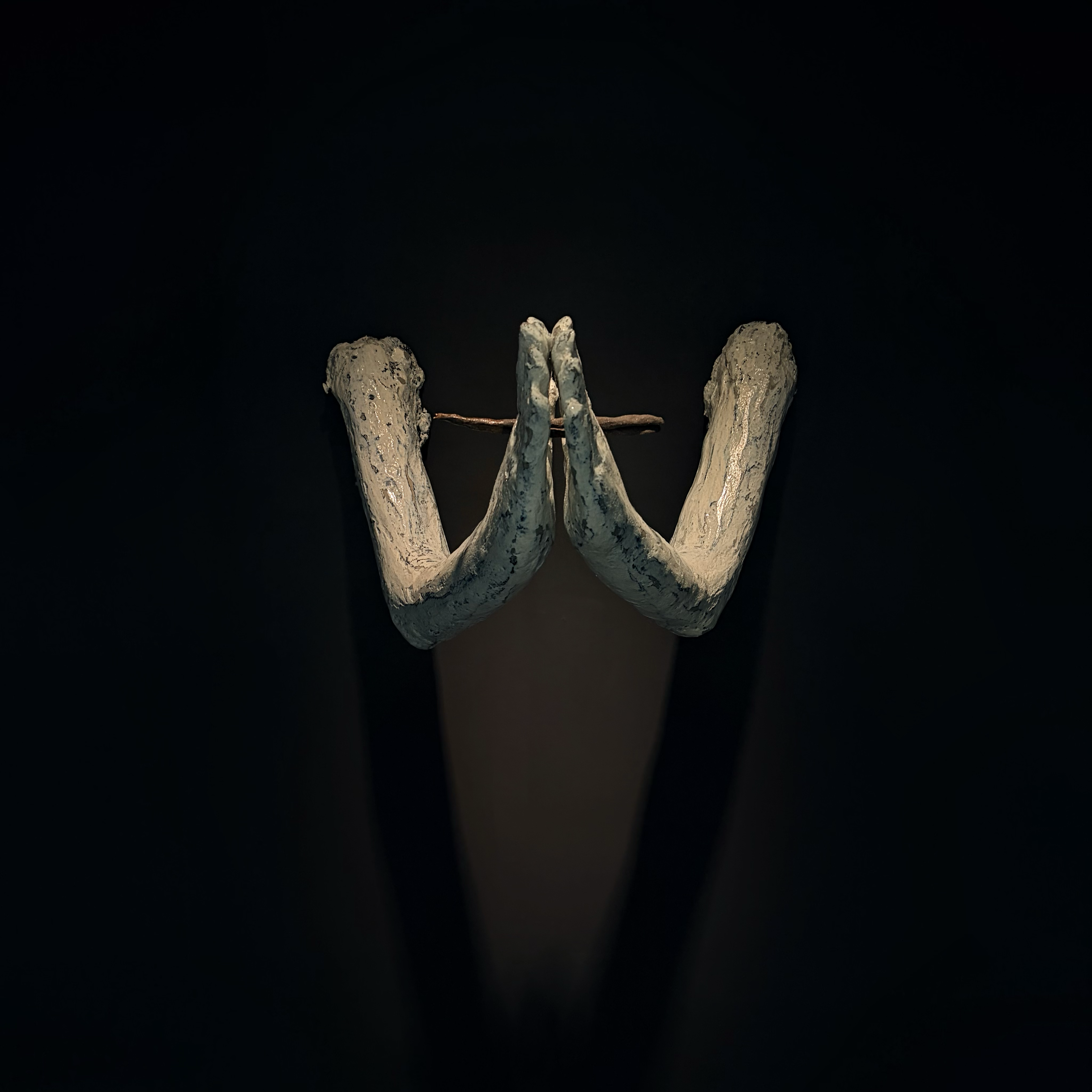 https://raw.githubusercontent.com/catbaron0/pic/main/images/2026516180313.png