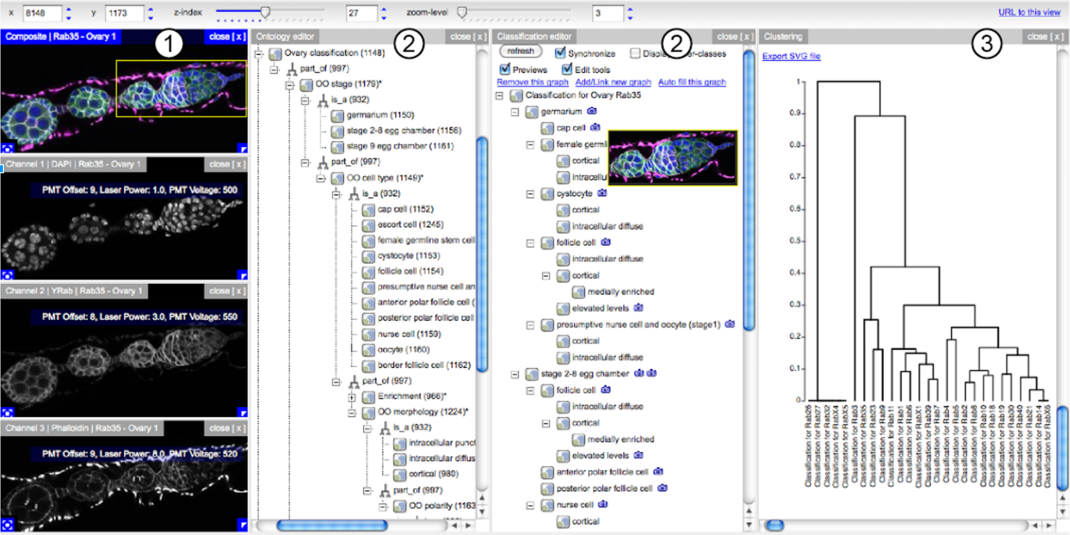 Image of Drosophila light data and different ontology annotation and analysis tools