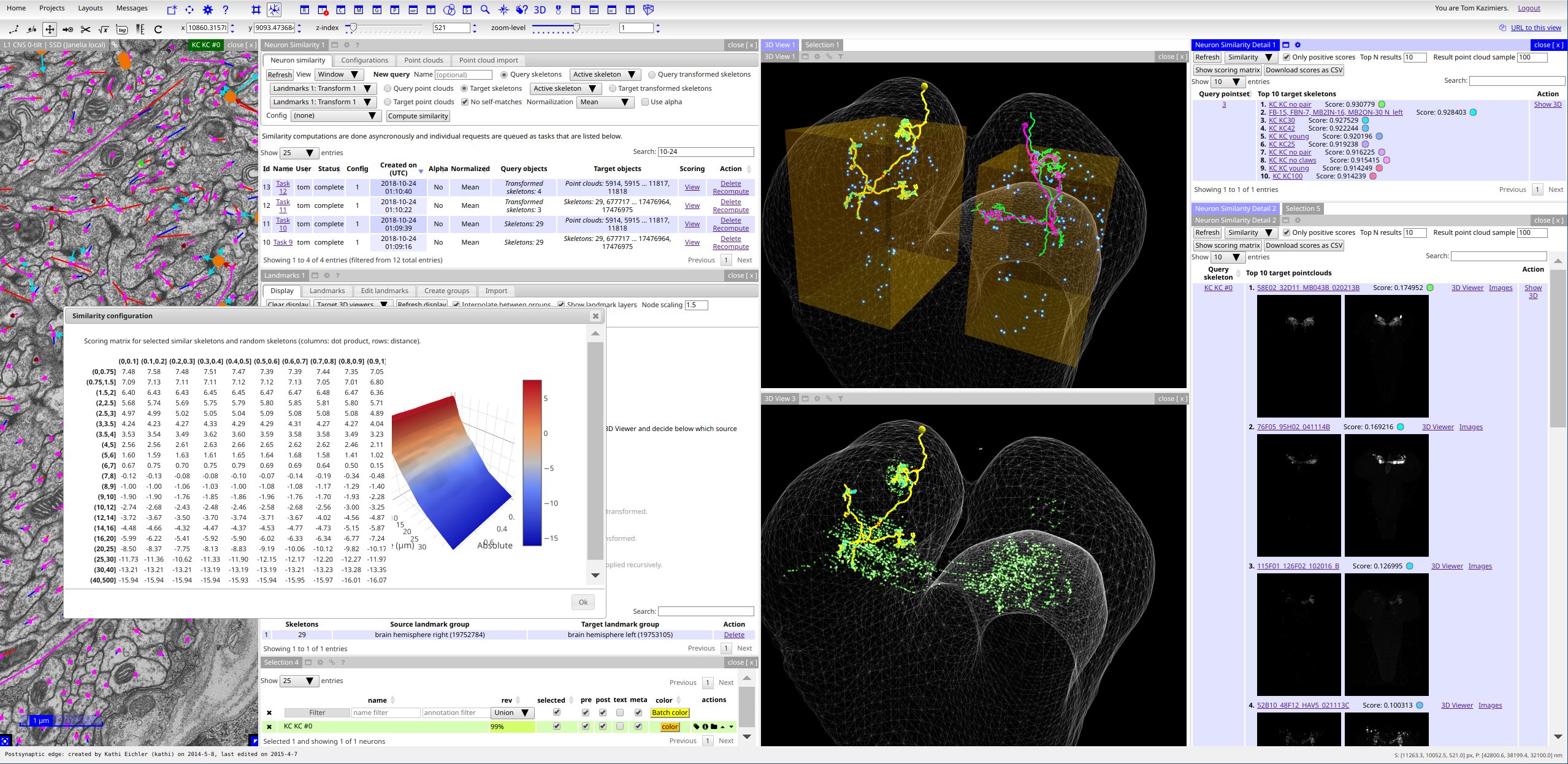 Image of CATMAID's neuron tracing environment and NBLAST similarity analysis in the L1 Drosophila dataset